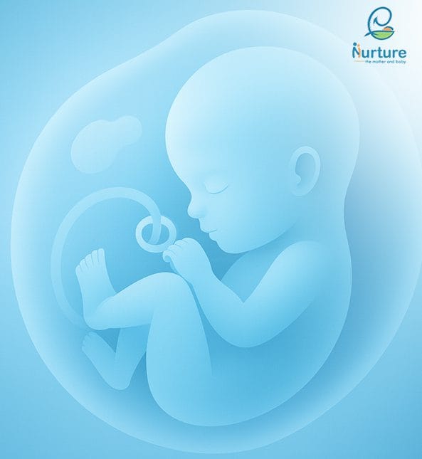 Nurture Hospital Bangalore providing expert maternity, IVF, fertility, and women’s healthcare services.