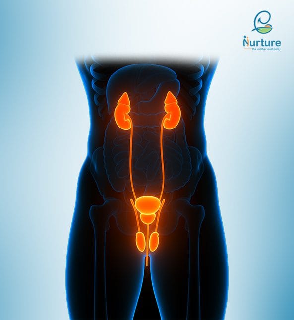 Nurture Hospital Bangalore providing expert maternity, IVF, fertility, and women’s healthcare services.